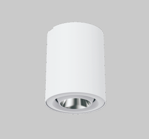 Đèn downlight Ecolux YC-DL0206-10