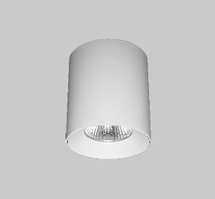 đèn downlight gắn nổi tròn