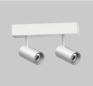 đèn downlight thanh rọi 2 đầu