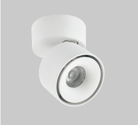 Đèn downlight ốp nổi rọi xoay YC-DL0401-12